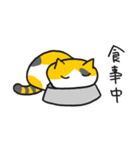 ゆくねこ・ミーコ（個別スタンプ：9）