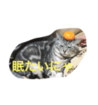 KSB三十路の作ったスタンプ（個別スタンプ：4）