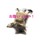 KSB三十路の作ったスタンプ（個別スタンプ：12）