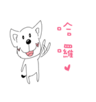 Cute dog's daily life（個別スタンプ：1）
