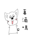 Cute dog's daily life（個別スタンプ：11）