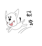 Cute dog's daily life（個別スタンプ：13）
