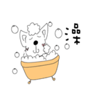 Cute dog's daily life（個別スタンプ：14）