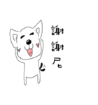 Cute dog's daily life（個別スタンプ：16）