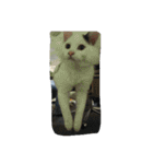 ほのぼのにゃん（個別スタンプ：10）