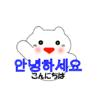 韓国語のかわいい白猫（韓国語と日本語）（個別スタンプ：1）