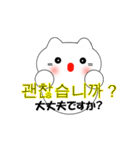 韓国語のかわいい白猫（韓国語と日本語）（個別スタンプ：5）