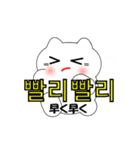 韓国語のかわいい白猫（韓国語と日本語）（個別スタンプ：21）