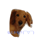 うちの翔（個別スタンプ：2）