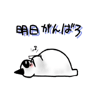 吾輩は猫パンだ！毎日を楽しく♪（個別スタンプ：21）