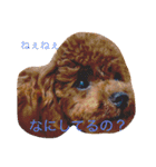 関根家の珍獣たち（個別スタンプ：3）