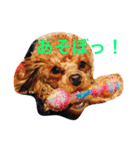 関根家の珍獣たち（個別スタンプ：6）