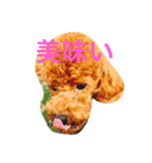 関根家の珍獣たち（個別スタンプ：7）