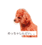関根家の珍獣たち（個別スタンプ：14）