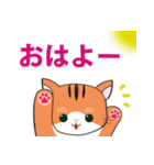 妮可貓 にこ猫（個別スタンプ：3）