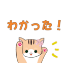 妮可貓 にこ猫（個別スタンプ：19）