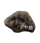 みもざと仲間（個別スタンプ：1）
