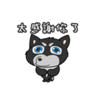 Two ha di 2（個別スタンプ：37）