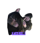 やすこ1（個別スタンプ：6）