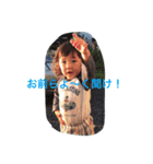てんぱーじなん（個別スタンプ：3）