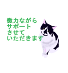 税理士（個別スタンプ：17）