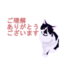 税理士（個別スタンプ：20）
