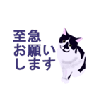 税理士（個別スタンプ：21）