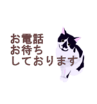 税理士（個別スタンプ：23）
