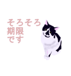 税理士（個別スタンプ：24）