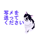 税理士（個別スタンプ：26）