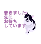税理士（個別スタンプ：30）