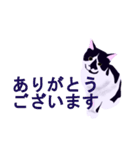 税理士（個別スタンプ：35）