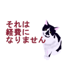 税理士（個別スタンプ：36）