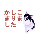 税理士（個別スタンプ：37）