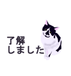 税理士（個別スタンプ：40）