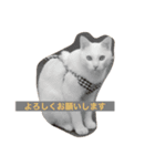 マシューくん（個別スタンプ：7）