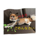 まぐろと友達（個別スタンプ：6）
