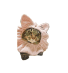 ハナですが…何か？（個別スタンプ：12）