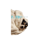 うっしーともっちの日常スタンプ（個別スタンプ：7）