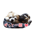 うっしーともっちの日常スタンプ（個別スタンプ：12）
