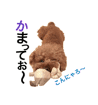 トイプードルえーきち2（個別スタンプ：4）