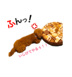 トイプードルえーきち2（個別スタンプ：14）