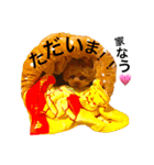 トイプードルえーきち2（個別スタンプ：15）