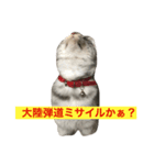 うーちゃんとみーちゃん1（個別スタンプ：3）