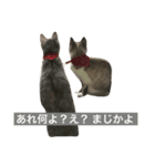 うーちゃんとみーちゃん1（個別スタンプ：5）