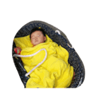 babyrani（個別スタンプ：3）