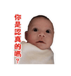 Bu bu's daily（個別スタンプ：16）