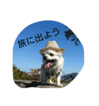小次郎な日々（個別スタンプ：7）