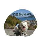 小次郎な日々（個別スタンプ：9）