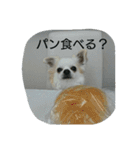 小次郎な日々（個別スタンプ：13）
